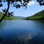 Bluestone National Park Travel Guide: History, Scenic River Beauty, Hiking, Wildlife, and Hidden Wonders of West Virginia