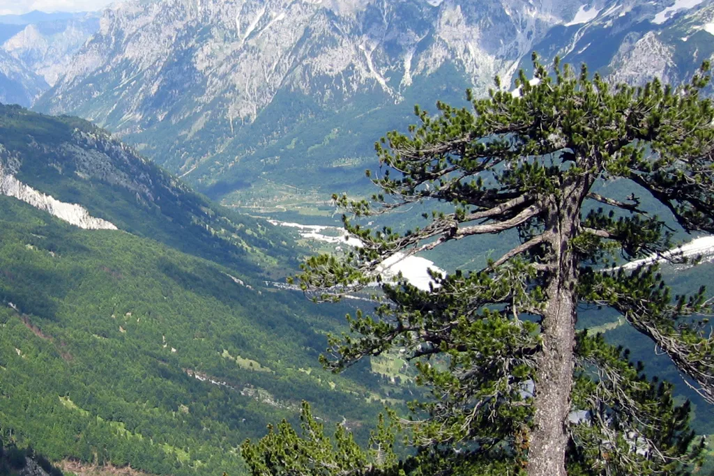 Theth Valley in the Albanian Alps, with green forested slopes, river flats and high limestone peaks